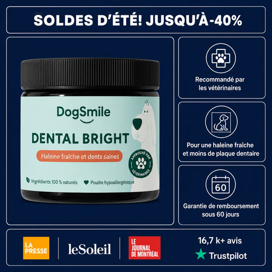 DogSmile - Haleine Fraîche