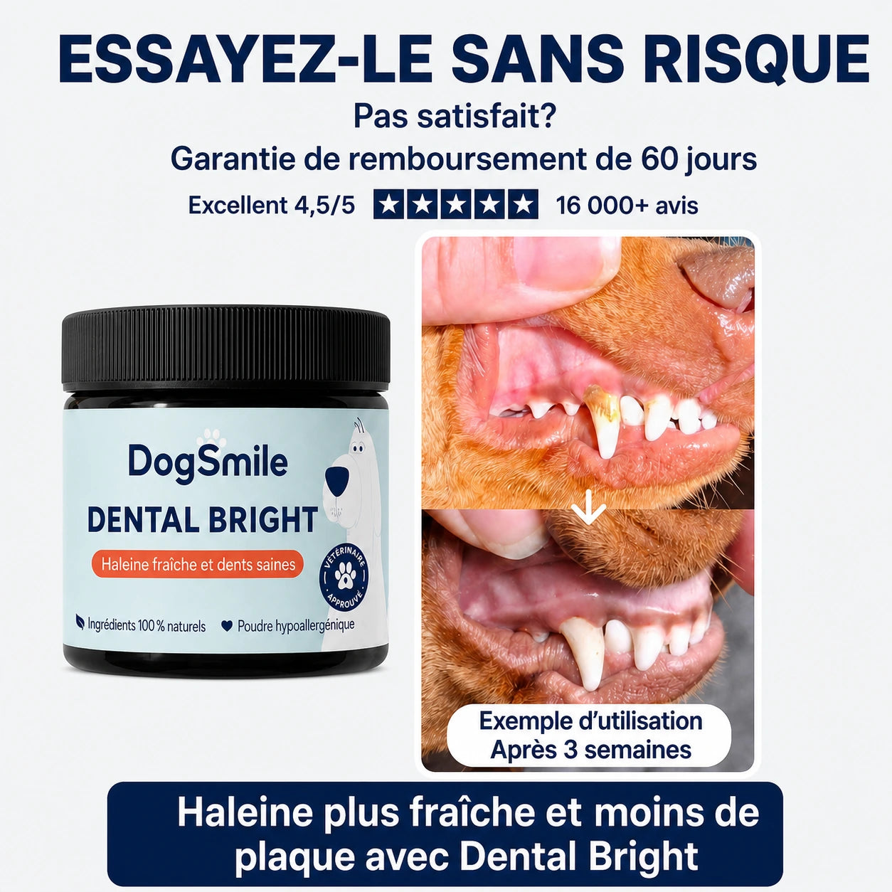 DogSmile - Haleine Fraîche