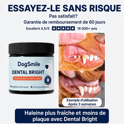DogSmile - Haleine Fraîche